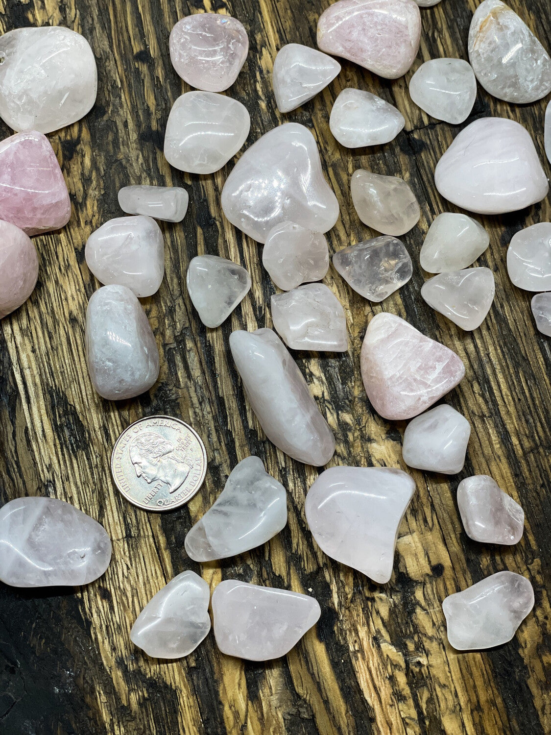 Rose Quartz Tumbled