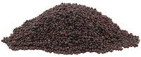 Mustard Seed Black